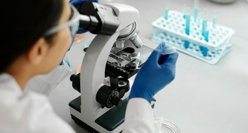 Indecopi en recta final para resolver presunto “cartel de laboratorios”: las multas propuestas