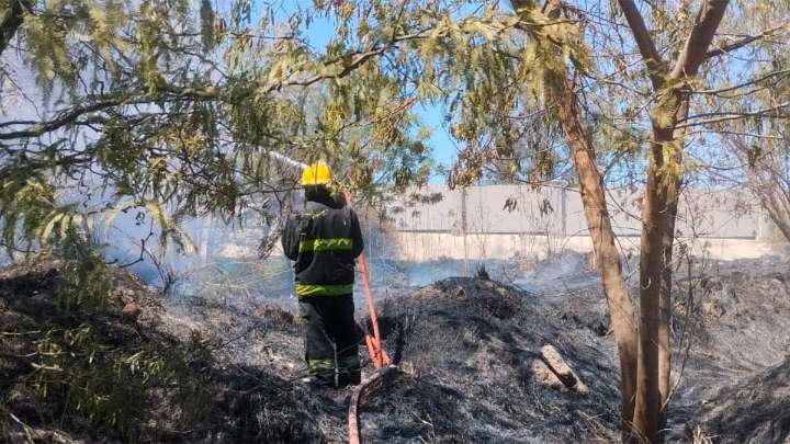 Un incendio de pastizales generó alarma en la avenida Lugones
