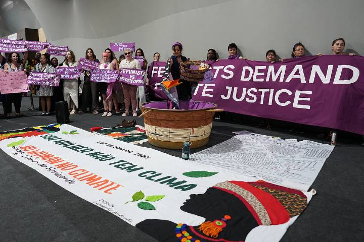 Protesters Clash With Security At UN COP30 Climate Summit In Brazil