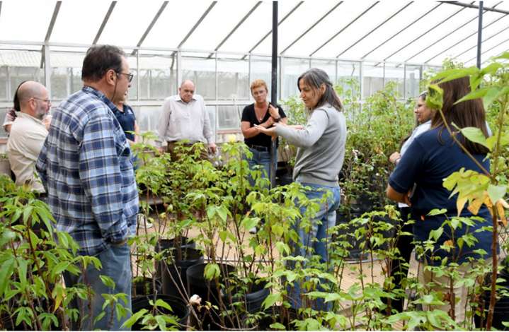 INTA Sáenz Peña presentó sus avances en algodón, forestales y cartografía al presidente del organismo