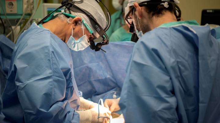 Los profesionales del Hospital Garrahan realizaron cuatro trasplantes en 34 horas