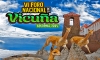 ANUNCIAN LA PRONTA REALIZACION DEL VI FORO NACIONAL DE LA VICUÑA
