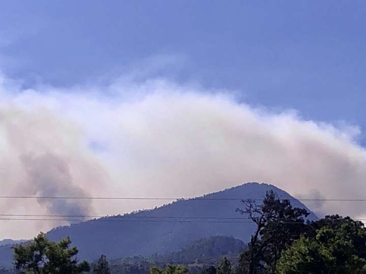 Ante amenazas en la sierra de Madero, ambientalistas piden atención del gobierno