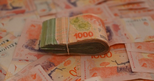 ANSES paga un bono de hasta $300.000 por desempleo: quiénes lo cobran y cómo pedirlo