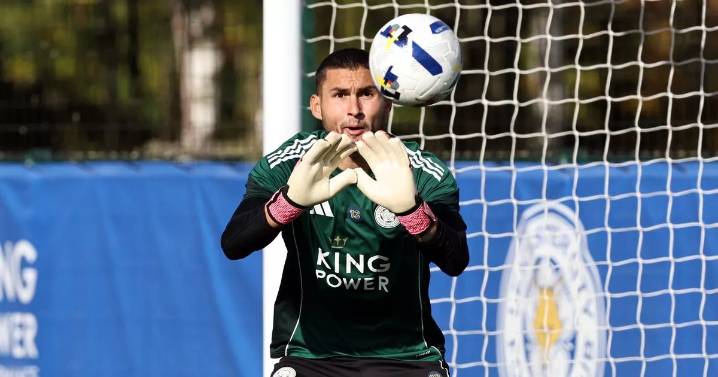 Why Asmir Begovic may be preferred over Fran Vieites as Leicester City's No2 goalkeeper