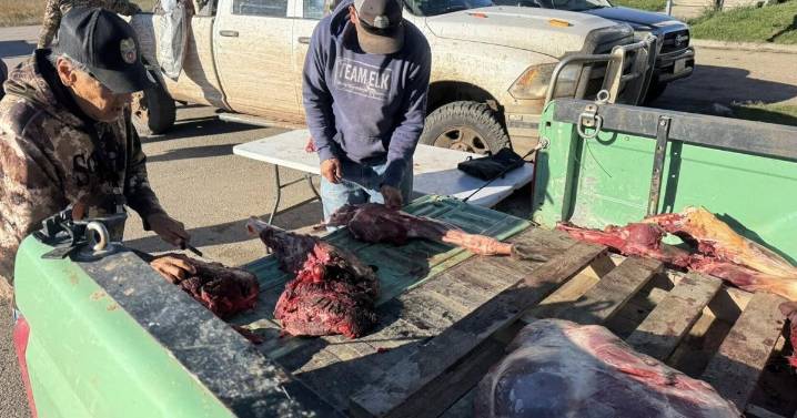 Montana tribes take action to bolster food sources amid SNAP fracas