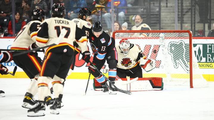 Bison use 4-goal first period to shut down Fuel, 4