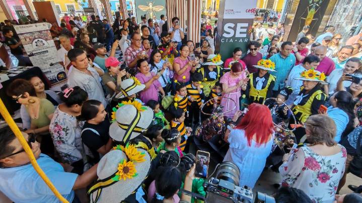 Insectus: Ciencia, Arte y Cultura