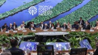 COP30: La ONU pide más ambición en la lucha contra el cambio climático