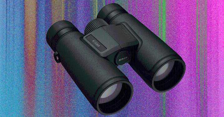 The Best Binoculars Will Help You Find the Ivory Billed Woodpecker