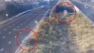 Speeding Car Plunges Into Gorge On Delhi-Mumbai Expressway, Killing All 5 Passengers Aboard