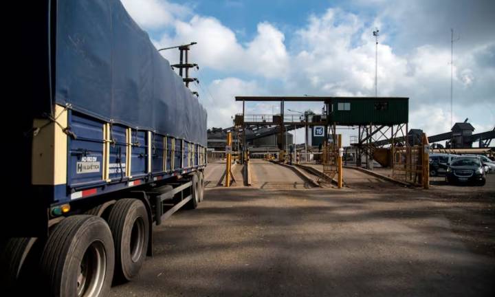 Se desaceleró la liquidación de divisas del agro, pero el año cerrará con una suba del 35%: US$ 34.000 millones