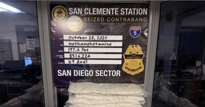 Patrulla Fronteriza realiza grandes decomisos durante cierre de gobierno