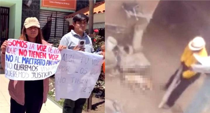 Inician investigación contra anciano que mató a palazos a perrita preñada en Cusco
