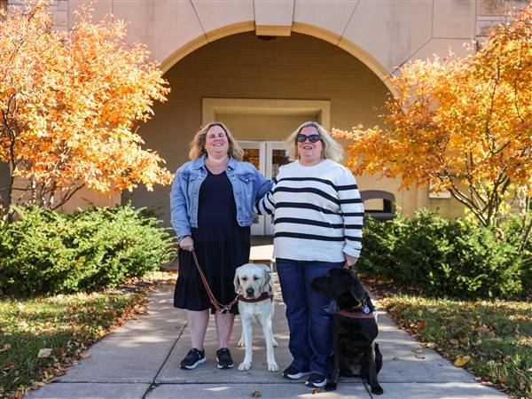 Twins celebrate new beginnings with guide dogs Valley and Wrenley