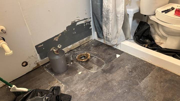 Duke Energy steps up after tree crew likely crushes Greensboro homeowner’s sewer line