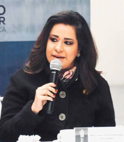 AÑO CON AÑO SE FORTALECE MÁS EL BUEN FIN; CERRÓ CON ÉXITO