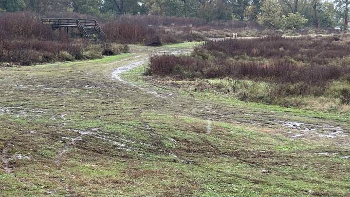 Park Ranger program reduced vandalism and theft in Louisville parks, mayor says