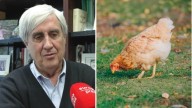 Juan José Badiola, catedrático emérito de Salud Animal, vaticina el fin de la ola de gripe aviar: "Se supone que remitirá en un máximo de tres semanas"