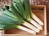 Conoce la hortaliza que combate el estreñimiento