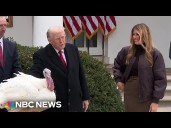 Trump pardons the turkey Gobble as part of the annual Thanksgiving tradition