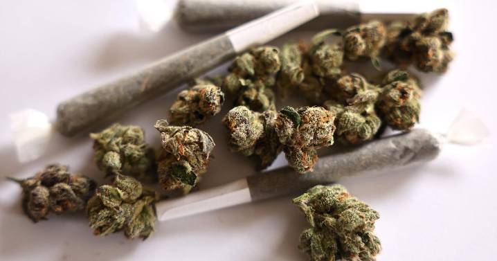 Florida recreational marijuana initiative one step closer to appearing on 2026 ballot