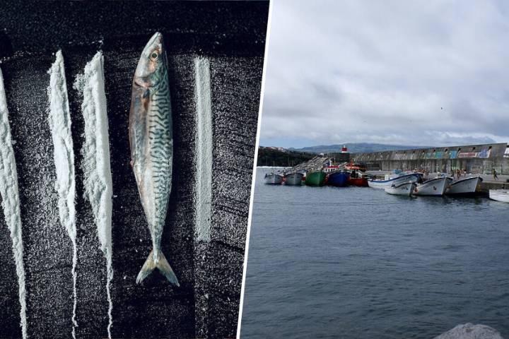 En 2001 un yate se refugió en una isla remota del Atlántico. Días después sus habitantes empanaban pescado con coca