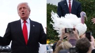 ‘They Have the Same Neck’: Trump’s White House Turkey Moment Backfires After Viewers Spot the Uncanny Resemeblance