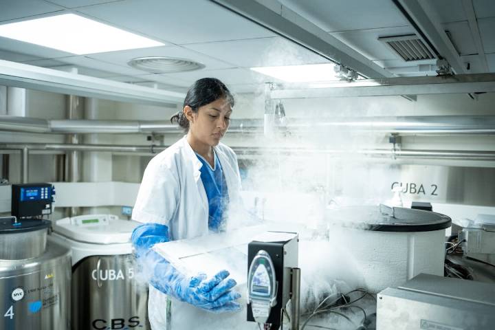 El empleo para profesionales cualificados aventaja de manera creciente a la hostelería