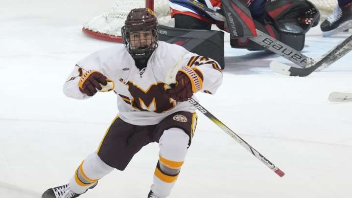 Morris/Sussex ice hockey preview capsules