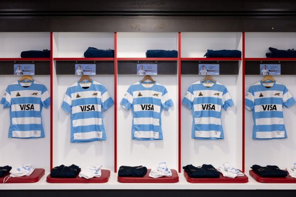 ????Los Pumas vs. Inglaterra EN VIVO: minuto a minuto del amistoso internacional