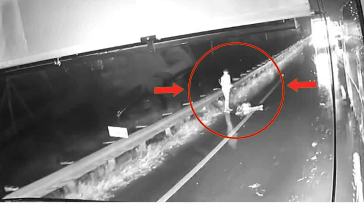 Kurnool bus fire: Dashcam shows biker’s body on road before tragedy