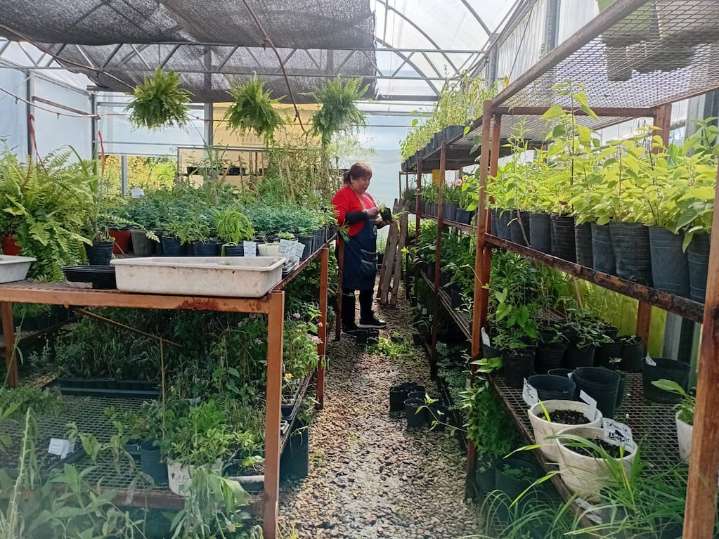 De una idea en un cajón a un vivero modelo: las once mujeres que transformaron el barrio Rodrigo Bueno