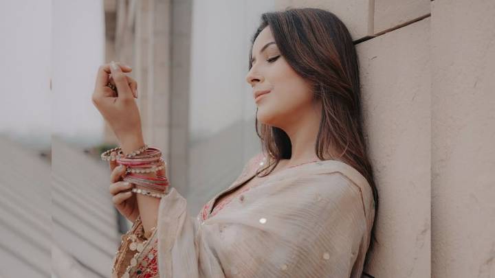 Shehnaaz Gill betrayed ex-boyfriend 'only because...'!