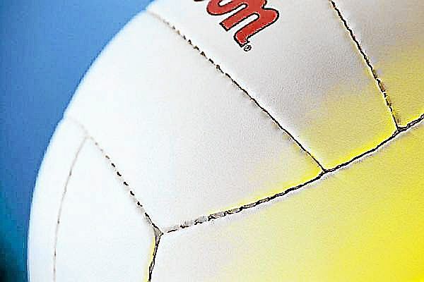 High school girls volleyball: Four area teams advance in sectionals