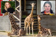 Alicia Silverstone offers $50K reward for return of baby giraffes who mysteriously vanished from troubled zoo 7 months ago