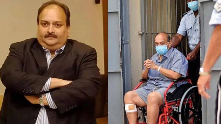 Mehul Choksi Challenges Extradition Order in Belgium Supreme Court Order India News