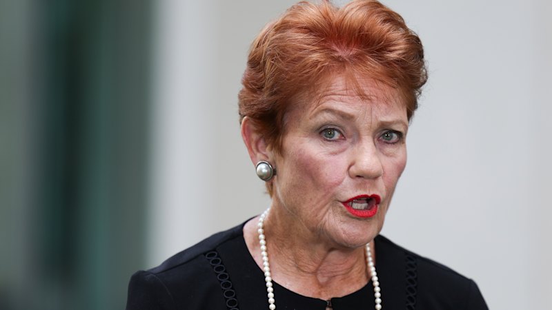 Pauline Hanson and the conservative organisation that owes the government $172,000
