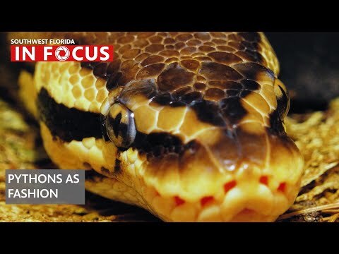 The newest fashion trend: a Burmese python couture