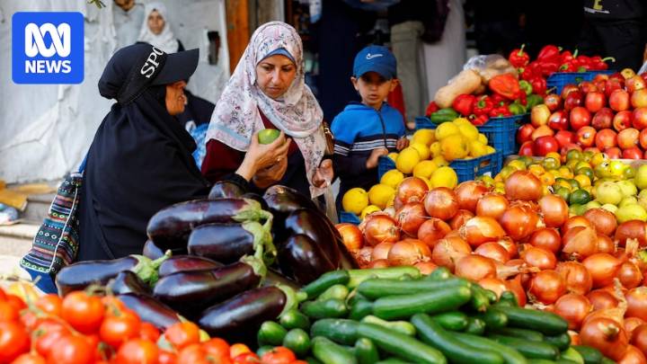 More than a month into the Israel-Gaza ceasefire, here is what has changed