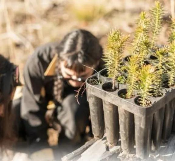 Junín de los Andes: lanzan el primer Trail LEKT 2026 en Lago Lolog