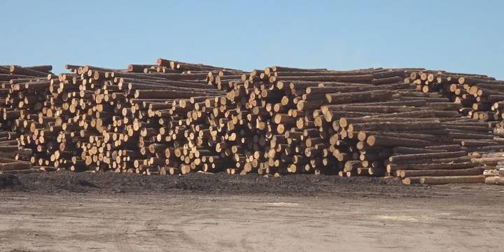 McMaster makes trip to Fairfax for sawmill groundbreaking ceremony