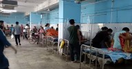 Outbreak of Dengue in Kailasahar , 46 identified, 13 admitted to hospital