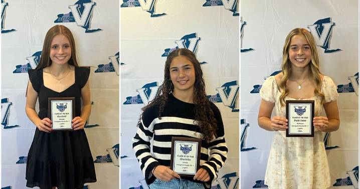 SEC. V GIRLS SOCCER: Livonia's Feehan, Geneseo's Fowler, Keshequa's Isaman earn Livingston County Players of the Year