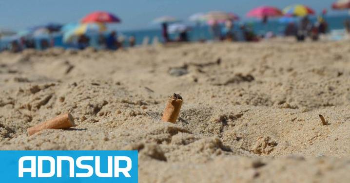 15:33 Un balneario argentino aplicará multas a quienes fumen en la playa: las sanciones llegan hasta $500.000