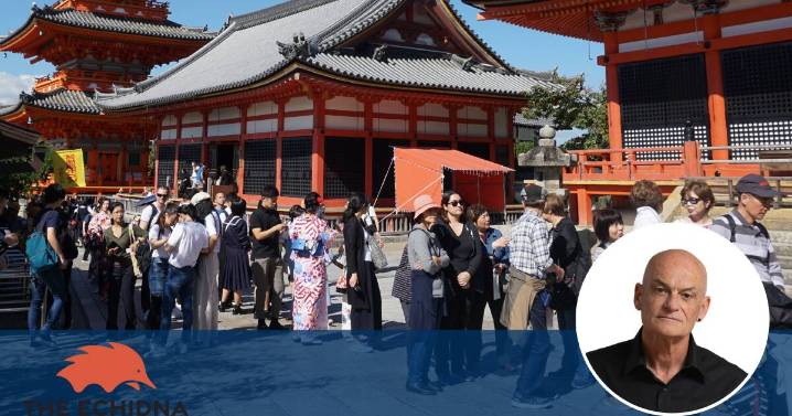 Echidna: Finding harmony in Japan's imperfection and wabi