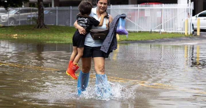 Last big round of South Florida king tides comes this week