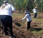 Localizan restos óseos humanos enterrad…