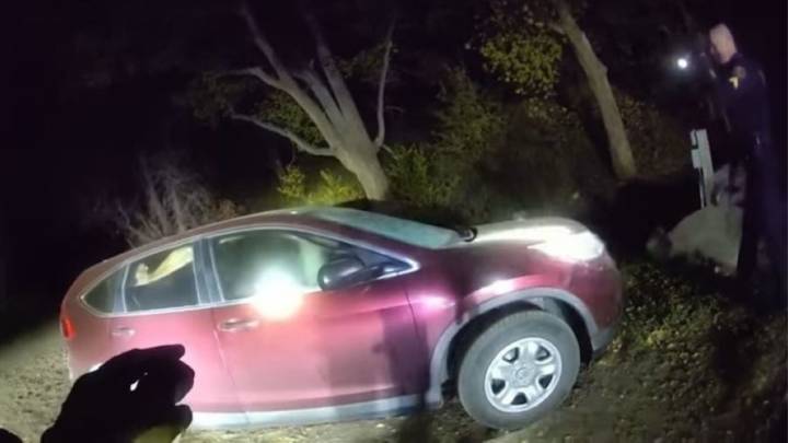 Colorado Deputies Responded To A Car Break-In Only To Realize The Culprit Was Actually A Furry Animal