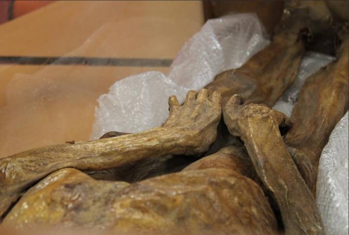 UAEH realiza estudio multidisciplinario para conservar la momia que resguarda